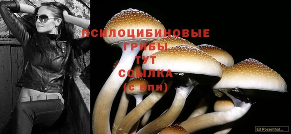 кокаин премиум Армянск