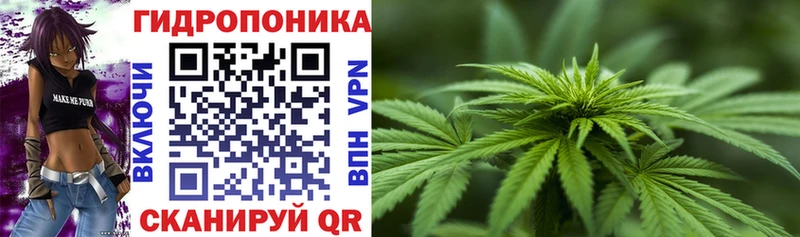 ссылка на мегу зеркало  Первомайск  МАРИХУАНА THC 21% 